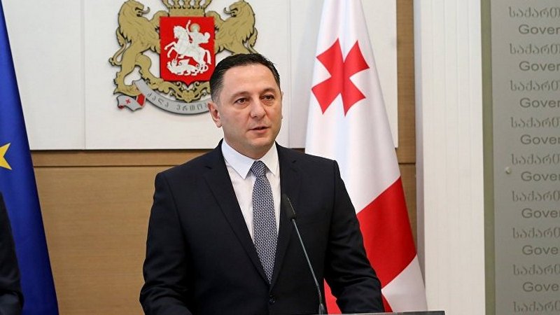 Глава МВД Грузии: полицейские не могут искать всех приезжающих в Facebook и TikTok