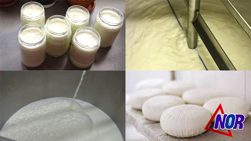 Молочную продукцию домашнего производства заменяет заводская