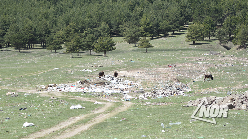 На участке дороги села Эштия накопился мусор