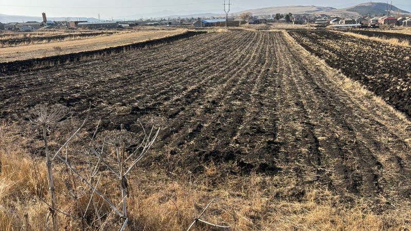 Продается 50 сот земли на трассе Ниноцминда-Сатха, 579 66 66 88