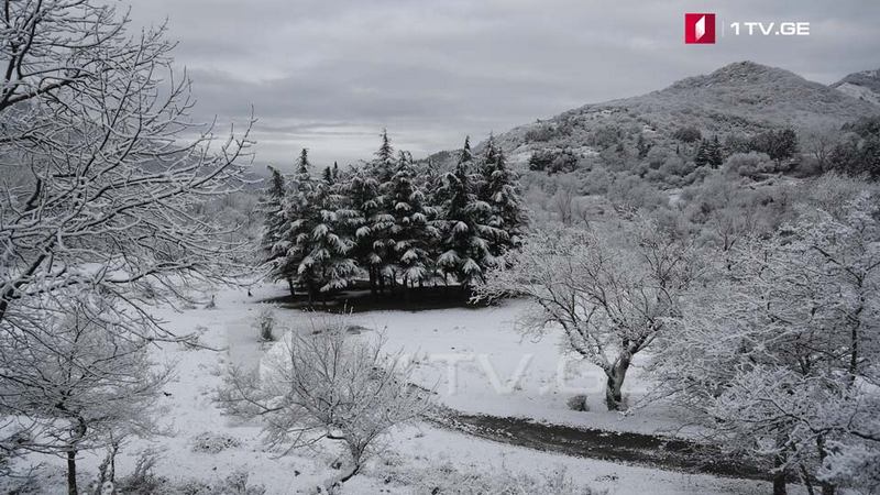 По данным Департамента автомобильных дорог, на скоростной магистрали и на перевале Рикоти идет сильный снегопад