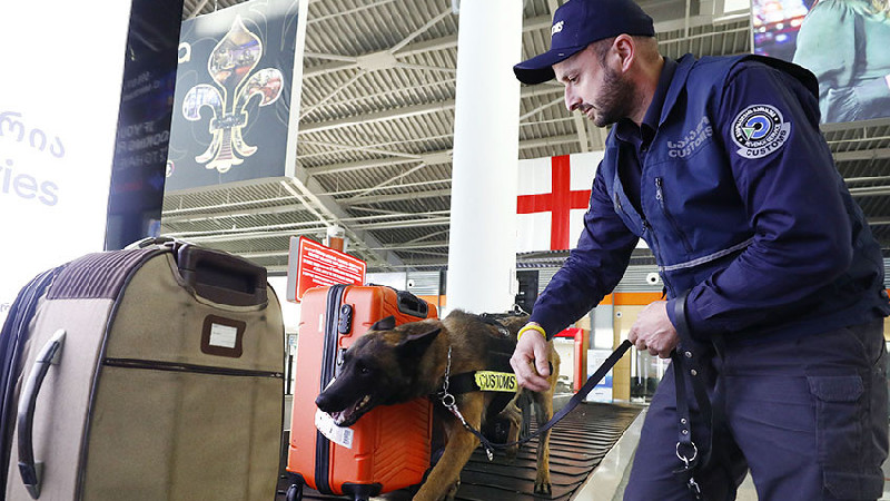 Служебный пес обнаружил в аэропорту Тбилиси полкилограмма наркотиков