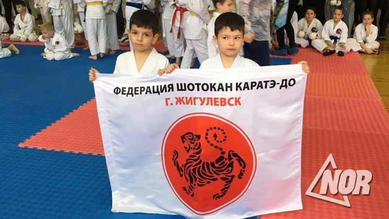 5-летний Марк Согоян занял первое место по каратэ в России/видео