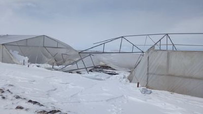 В селе Сатха ветер нанес ущерб тепличному хозяйству