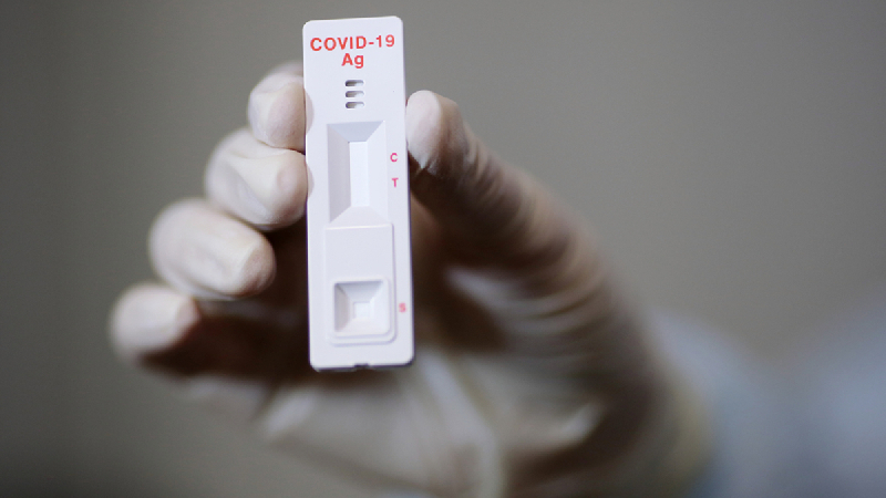 За неделю в Грузии выявлено 12 338 новых случаев коронавируса