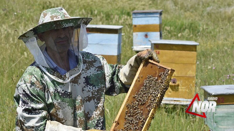 Инновации в сельском хозяйстве – правительство Грузии поможет биопроизводителям
