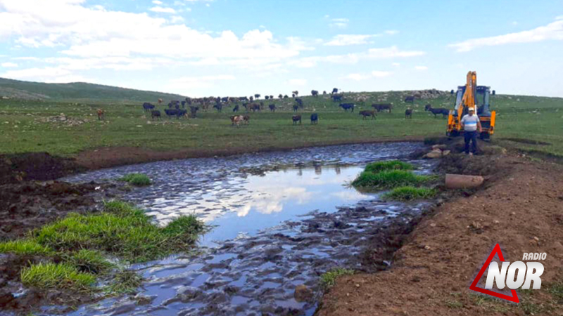 В селе Эштия начаты работы по программе «Помощь селу»