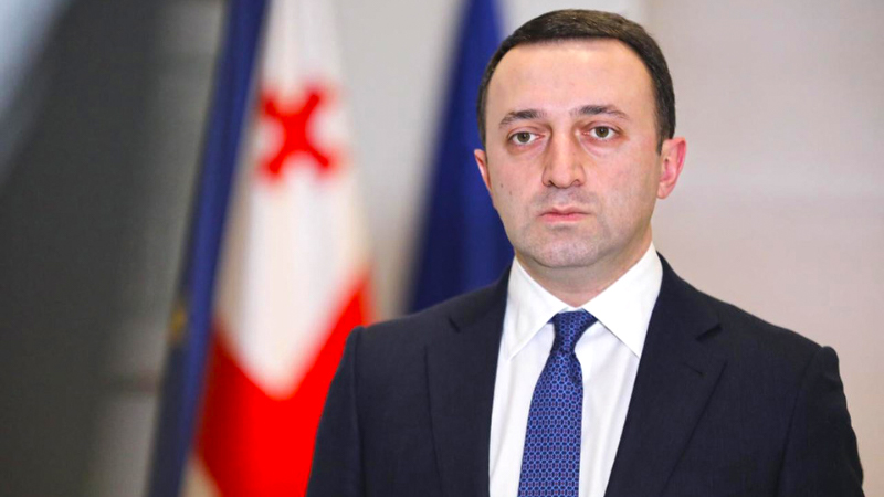 Ираклий Гарибашвили — Мы не допустим никакой дестабилизации