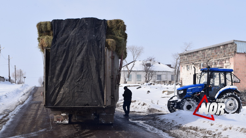 Молочные продукты дорожают, но у населения нет достаточно сена, чтобы прокормить скот