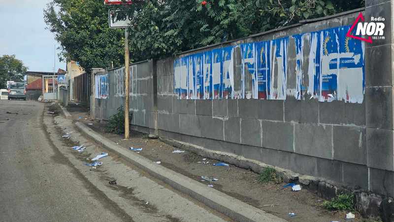 В селе Гореловка сорваны плакаты правящей партии — фотоматериал