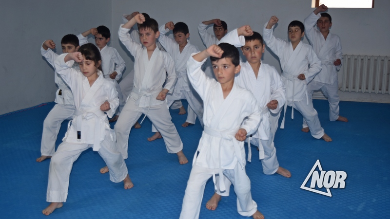 Экзамены по каратэ до Шотокан