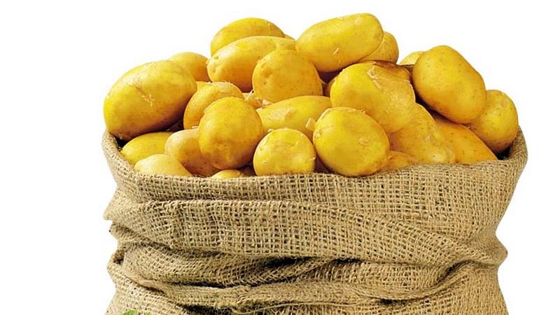 Карантин в Марнеули повлиял на реализацию  картофеля в Джавахетии