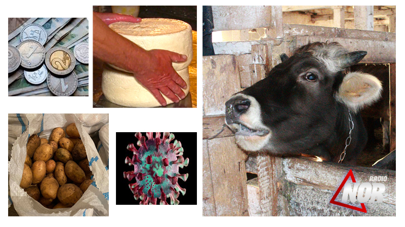 Обесцененная местная продукция в Джавахети и выросший интерес к сельскому хозяйству в период пандемии