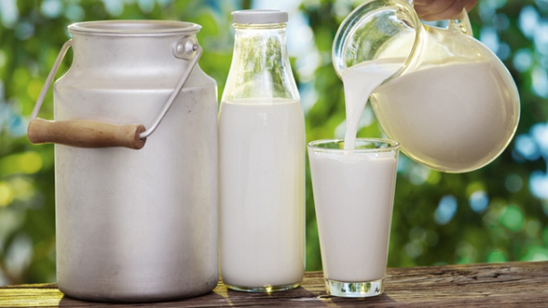 В Грузии увеличилось производство молока