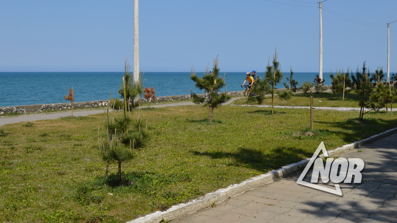 Санкции за загрязнение Черного моря ужесточаются – Штраф в размере 65 000 лари увеличивается и становится 100 000 лари