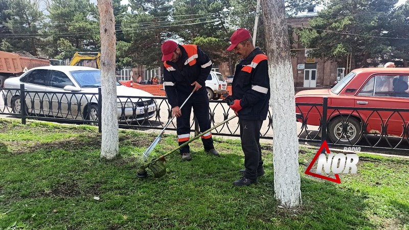 Какие работы проводятся по озеленению города