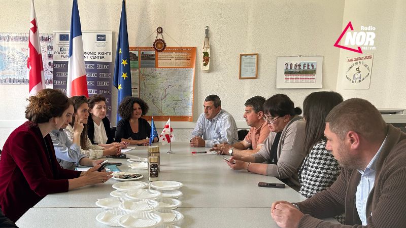 Посол Франции Шираз Гасри посетила Ниноцминду