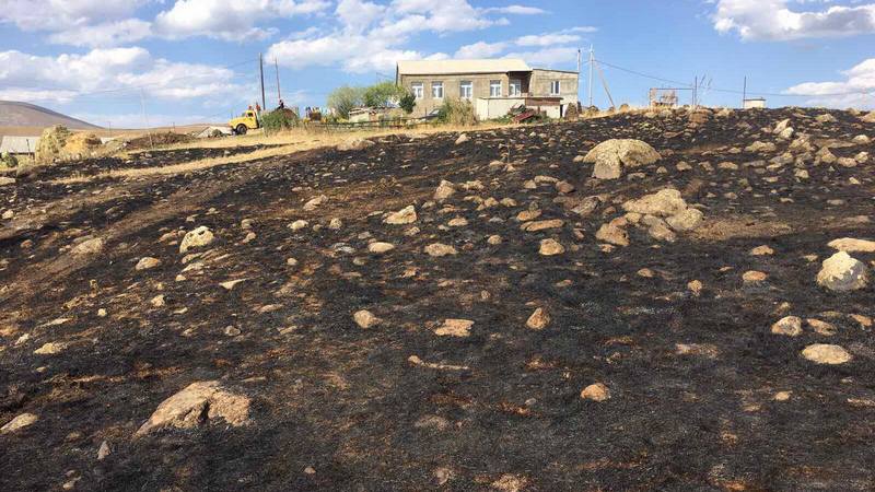 Штраф за поджог после сбора урожая — что означает законопроект