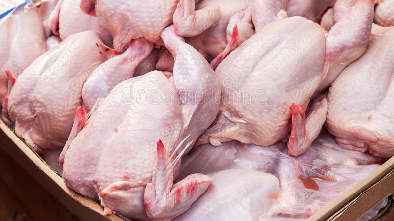 Птицеводческие компании предупреждают о росте цен на курятину и яйца