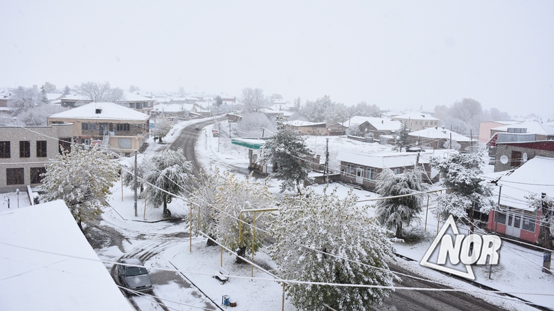 Коронавирус в Ниноцминда: данные на 17 декабря