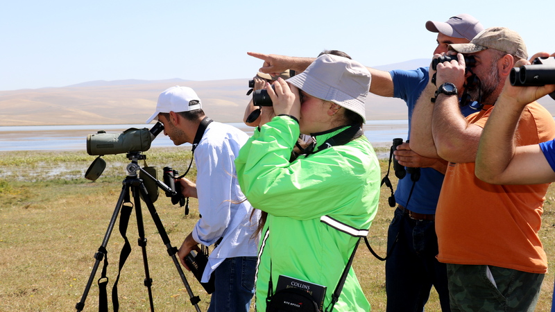 В Ниноцминде развивается туризм «Наблюдение за птицами»
