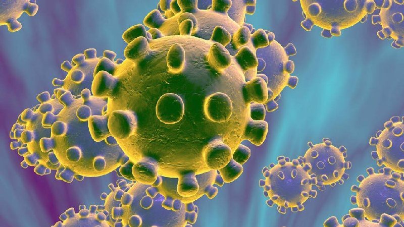 По прогнозам Тенгиза Церцвадзе, в Грузии будет значительное увеличение случаев заражения коронавирусом