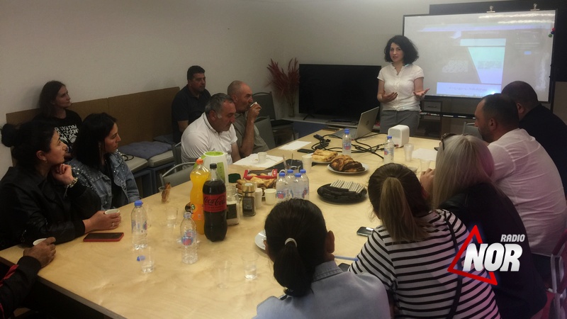 Какие ошибки допускают люди при подаче заявки на бизнес-грант? — Встреча в Ниноцминда