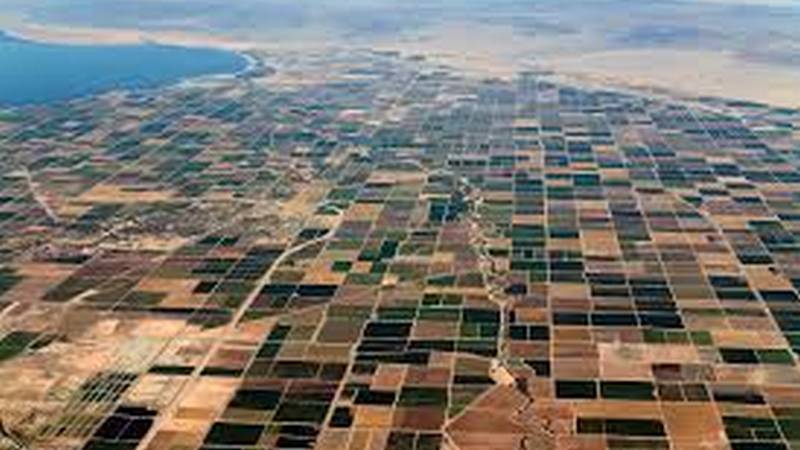 В 2019 году государство продало в общей сложности на 85 миллионов  лари несельскохозяйственных земель за 1 лари