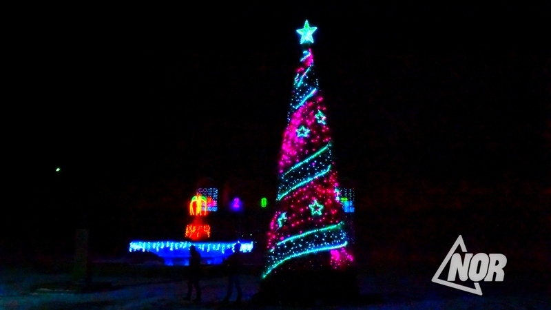 Зажглись огни новогодней ёлки в Ниноцминде