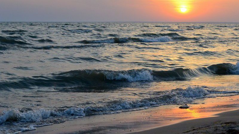 Что загрязняет Черное море — Интервью с экспертом
