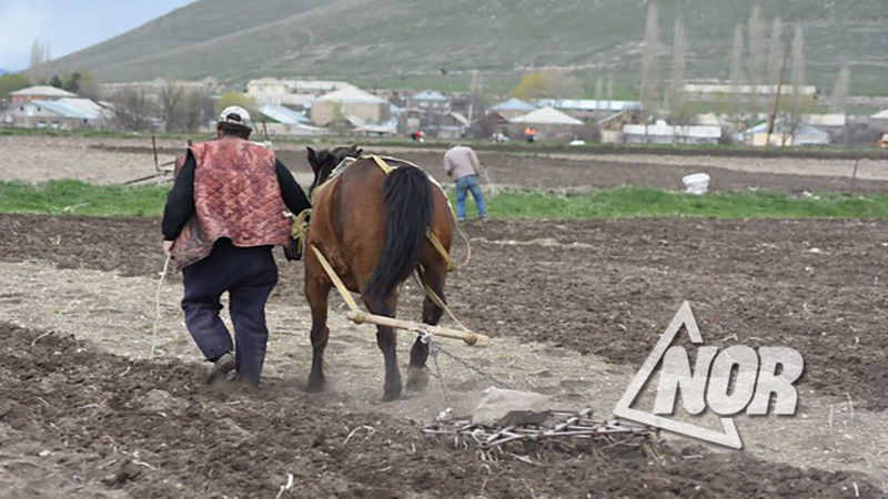 Премьер Грузии: Фермеры скоро столкнутся с большими проблемами