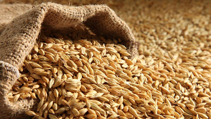 Из США в порт Поти прибыло 13 000 тонн пшеницы и 4 000 тонн сои