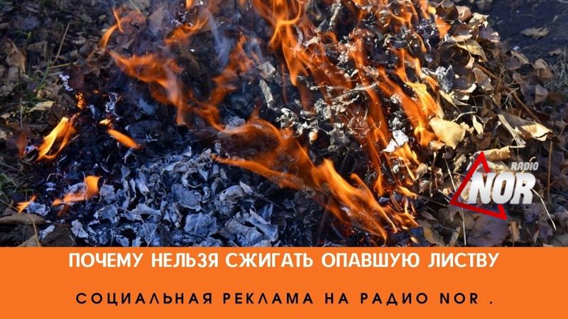 Опавшая листва: сжигать нельзя\соц. реклама