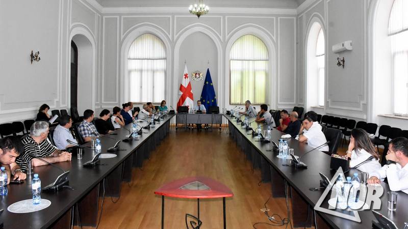 Представители НПО и СМИ провели встречи в Тбилиси