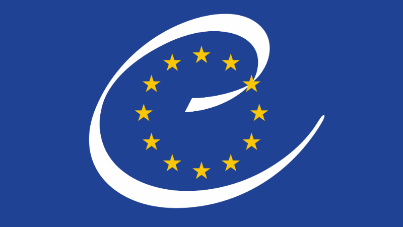 Совет Европы опубликовал доклад о конфликте в Грузии