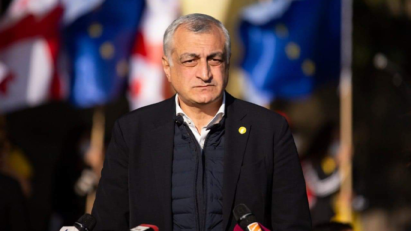 «Европейский выбор Грузии под угрозой»